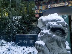-趵突泉景区
