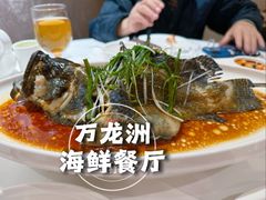 清蒸老虎斑-万龙洲海鲜(南新仓店)