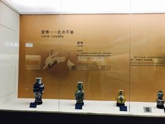 -盐城丹顶鹤湿地生态旅游区