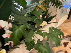 -大连铂尔曼酒店-铂尔曼美食廊 Pullman Deli