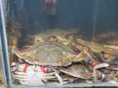 -仙螺岛海鲜自助餐厅(总店)