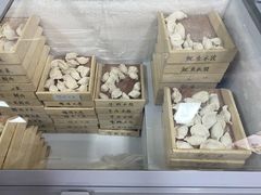 -田记自助海鲜饺子