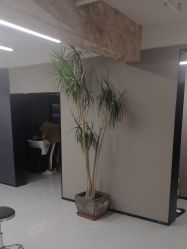 -宫铭烫发染发接发店