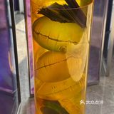 伊能静老师真的是冻龄女神