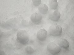 -Mr·Kuma酷么先生雪之乐园