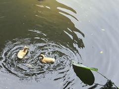-荔湾湖公园