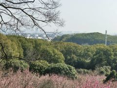 -无锡梅园公园