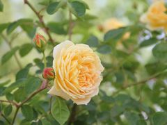 -上海山野camping·户外天幕烧烤·团建拓展营地