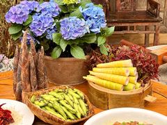 -田园印象·成都土菜院子(华阳店)