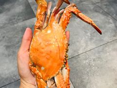 -吕宋海鲜楼