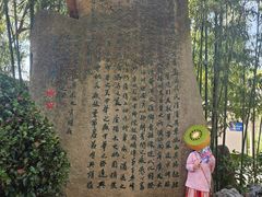 -南汇桃花村
