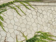 -北京张裕爱斐堡酒庄