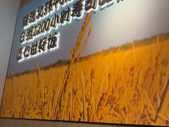 -吉野家(回龙观同成街店)