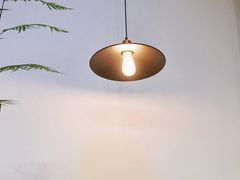 -植觉