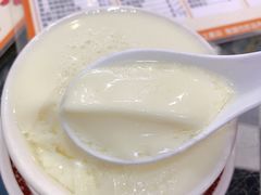 姜撞奶-义顺牛奶公司(新马路老店)