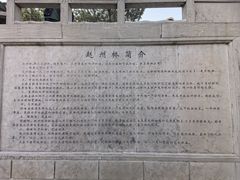 -赵州桥景区