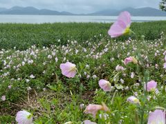 -苏州吴中太湖旅游区