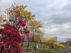 -光明小镇欢乐田园