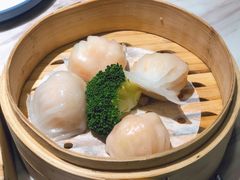 -广雅茶楼(柳州一店)