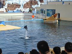 -秦皇岛乐岛海洋王国