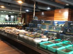 自助取餐区-浩运·海鲜青岛菜·海胆水饺(石老人店)