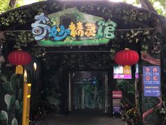 -广州长隆飞鸟乐园
