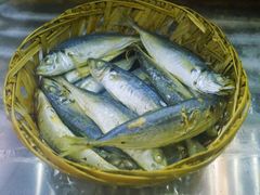 香煎巴浪鱼-合记汕头牛肉店(嘉禾路店)
