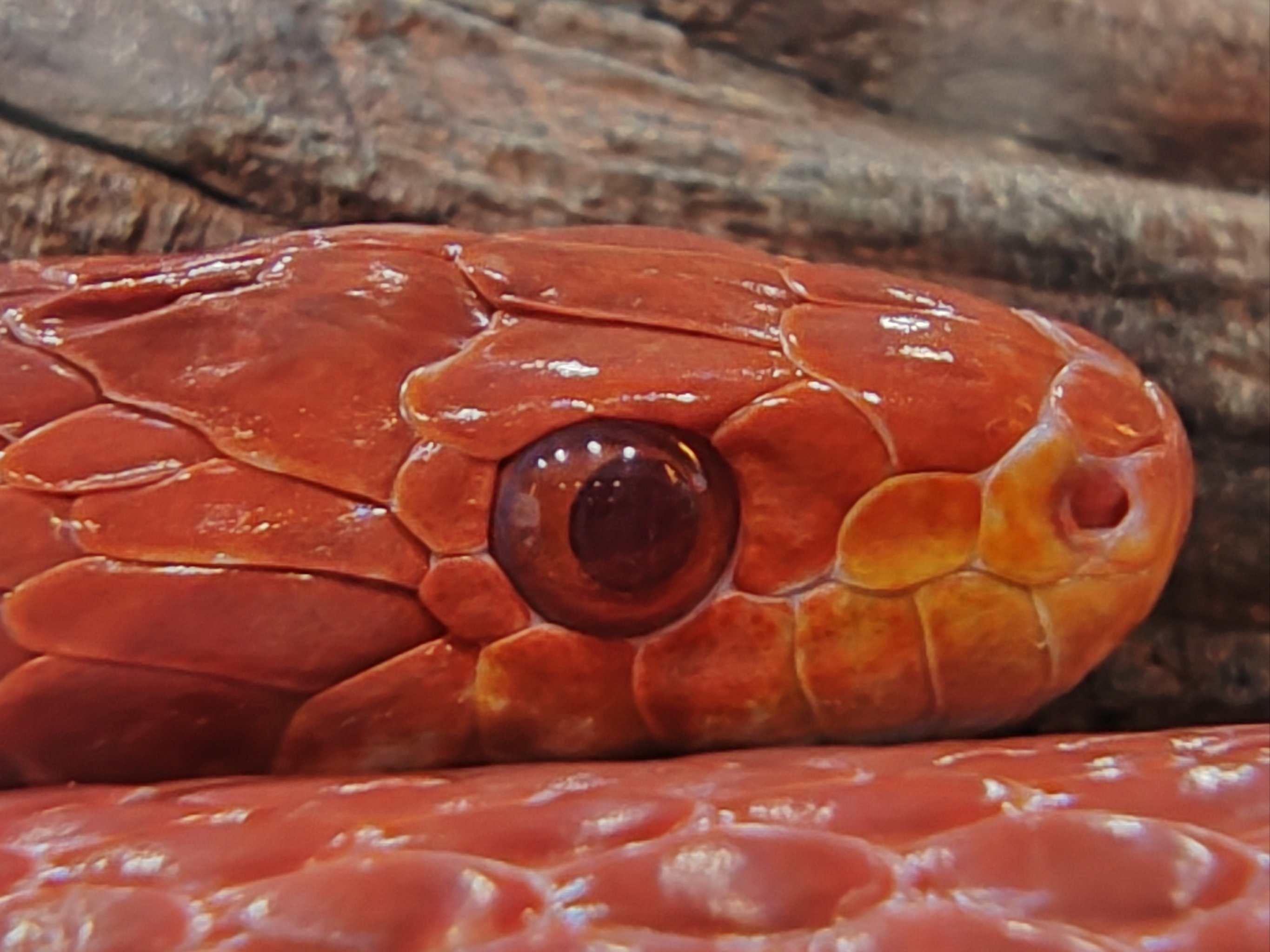 可以深度互动的博物馆