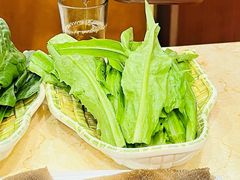 油麦菜-晓林火锅(安定门店)