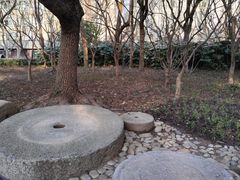-徐家汇公园