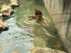 -无锡动物园·太湖欢乐园