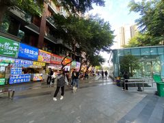 -傅强排骨(成都总店)