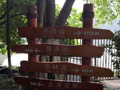 -重庆彩云湖湿地公园
