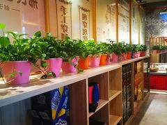 -邢氏老太太烤串(北兴街店)