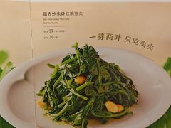 -眉州东坡(民族园店)