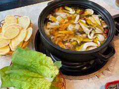 -蘑统田下·野生菌火锅