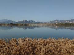 -青龙湖公园