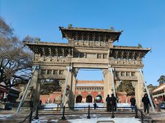 -北陵公园
