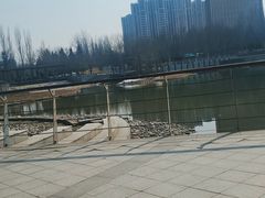 -大望京公园