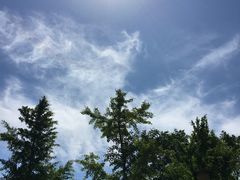 -BK博·康健身(金地格林小镇店)