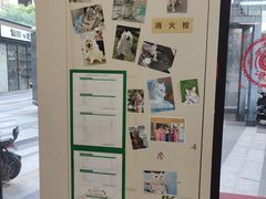 -爱妮康宠物医院·干细胞免疫细胞·肿瘤·心脏(张江店)