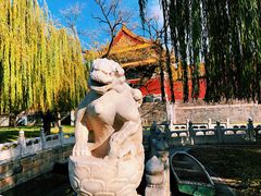 -故宫博物院(故宫)