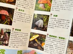 -太婆天府山珍酒楼(亚运村店)