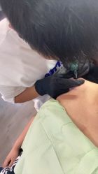 点击看大图 -龙之吻专业刺青·手工耳洞·纹身去色