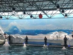 -秦皇岛乐岛海洋王国