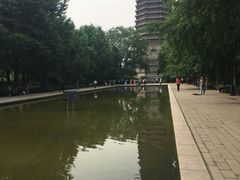 -玲珑塔公园