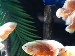 -重庆欢乐海底世界