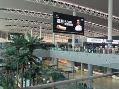 -合肥新桥国际机场-航站楼