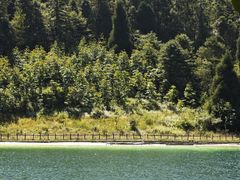 -武陵山森林公园