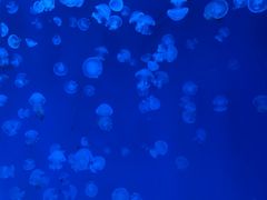 -福州罗源湾海洋世界旅游区